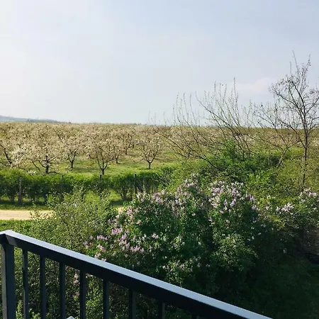 Kesa Barn Willa Latrany